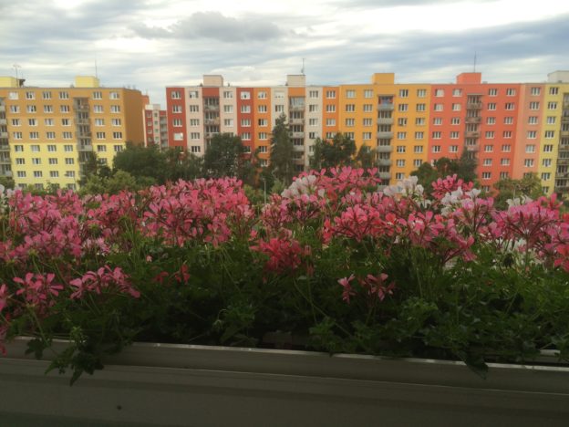 Přivítejte jaro i na balkónech, terasách a parapetech